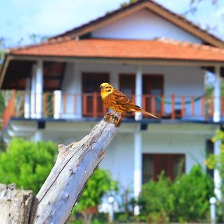 Pearl Cave Cabanas & Resturant Tangalle Zewnętrze zdjęcie